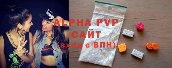шишки Инсар