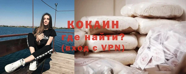 шишки Инсар