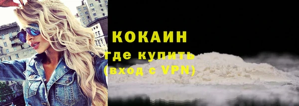 шишки Инсар