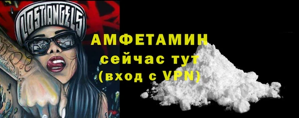 шишки Инсар