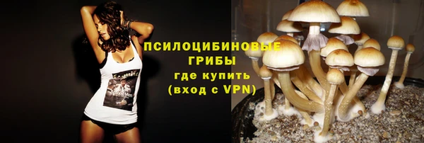 прущая мука Инта