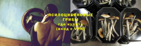 прущая мука Инта