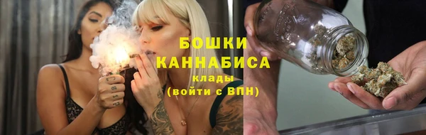 шишки Инсар