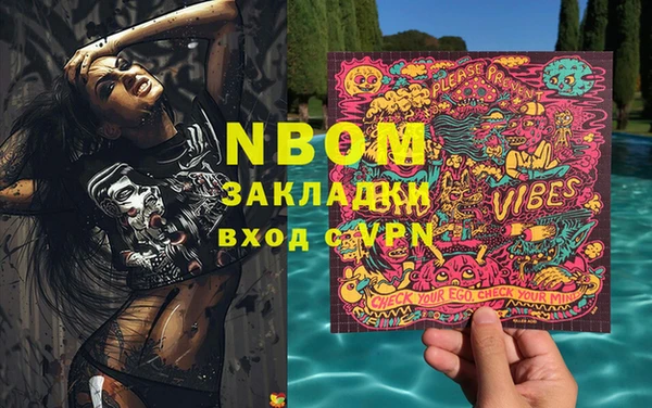 шишки Инсар