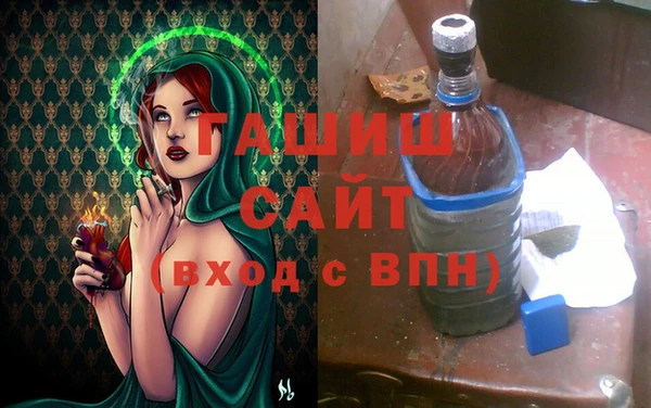шишки Инсар