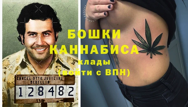 шишки Инсар