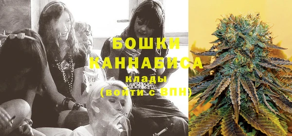 прущая мука Инта