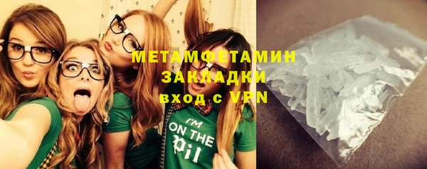 шишки Инсар