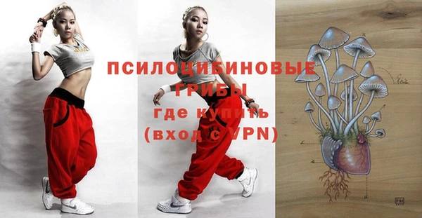 шишки Инсар