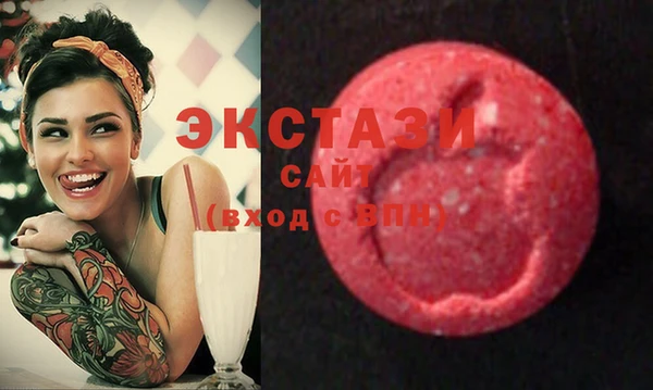 шишки Инсар