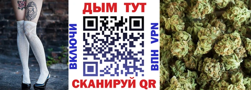 Купить где  Шилка  Конопля MAZAR 